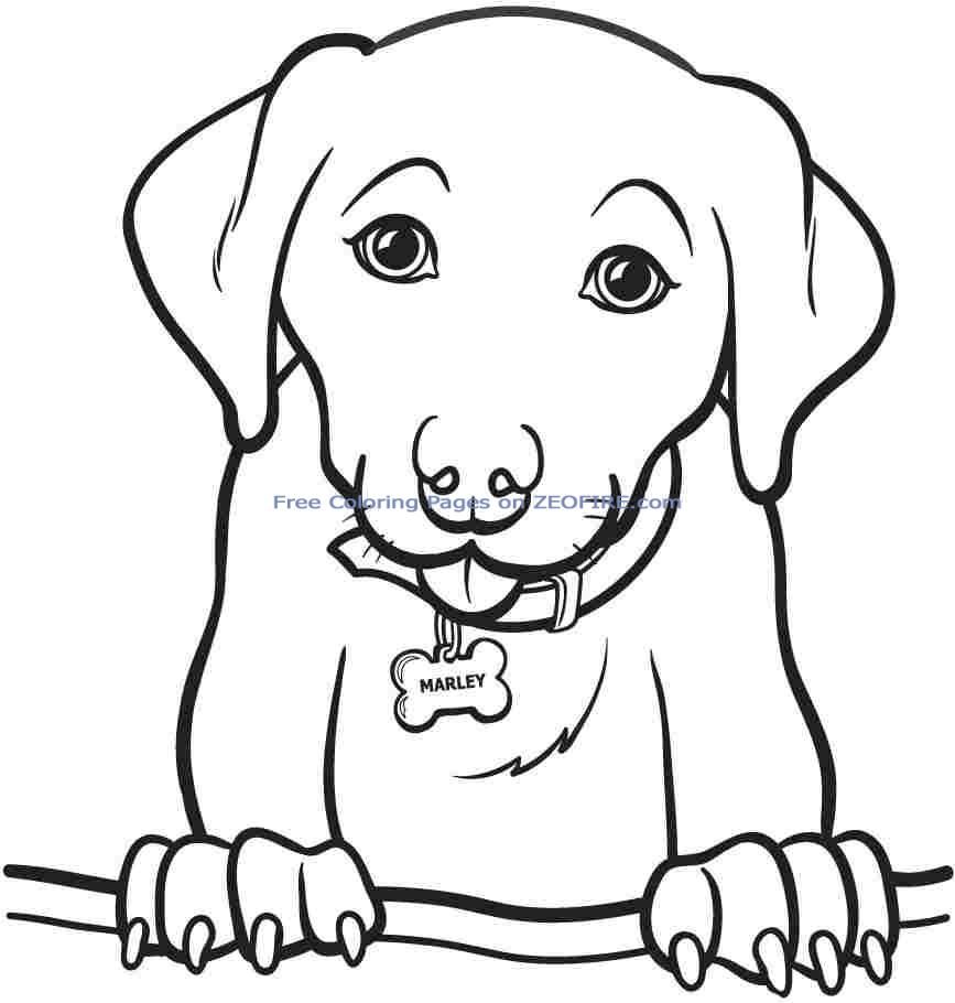 animal coloring pages dogs   Clip Art Library