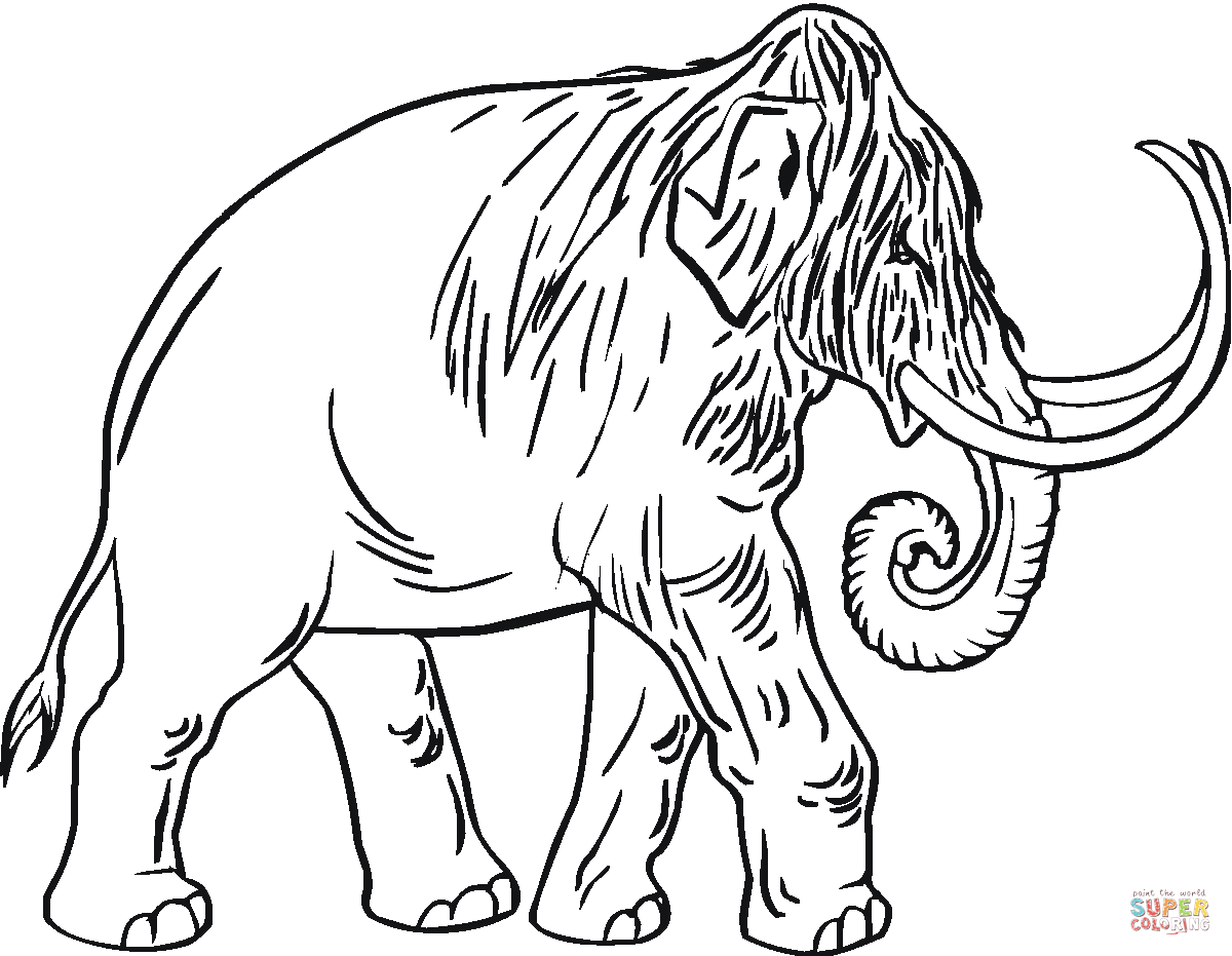 Woolly Mammoth Colouring Pages Clip Art Library