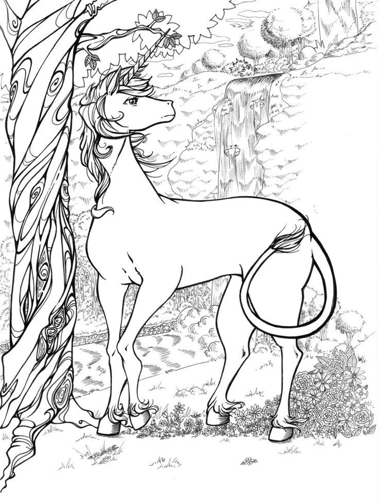 Free Printable Unicorn Coloring Page Download Free Printable Unicorn 