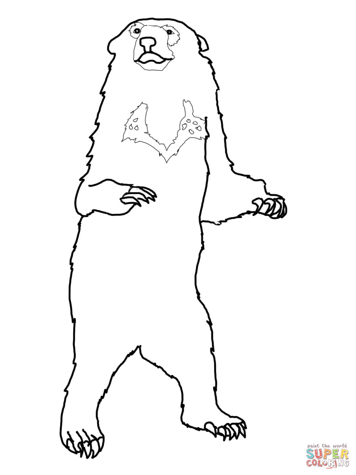 free-brown-bear-brown-bear-what-do-you-see-coloring-pages-download