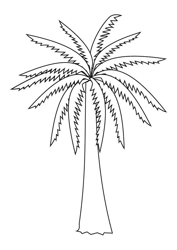 PALM COLORING PAGE  ONLINE COLORING