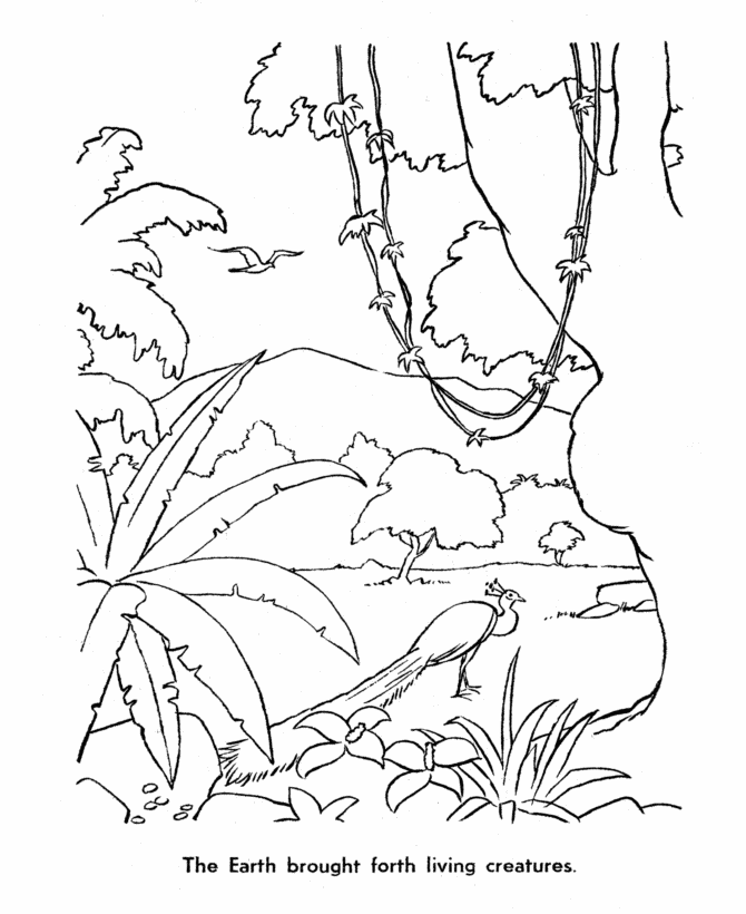 6th day of creation Colouring Pages