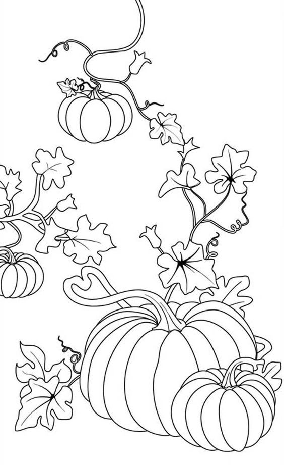 Free Pumpkin Patch Coloring Pages.