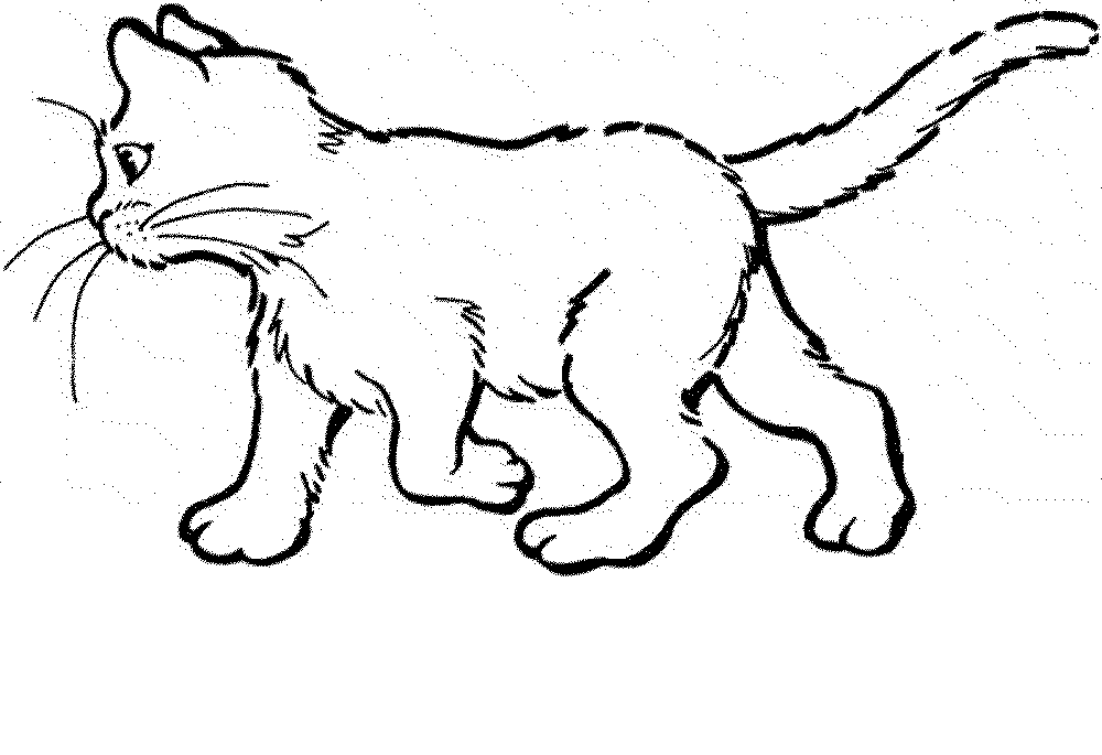 Free Free Kitty Cat Coloring Pages Download Free Clip Art Free
