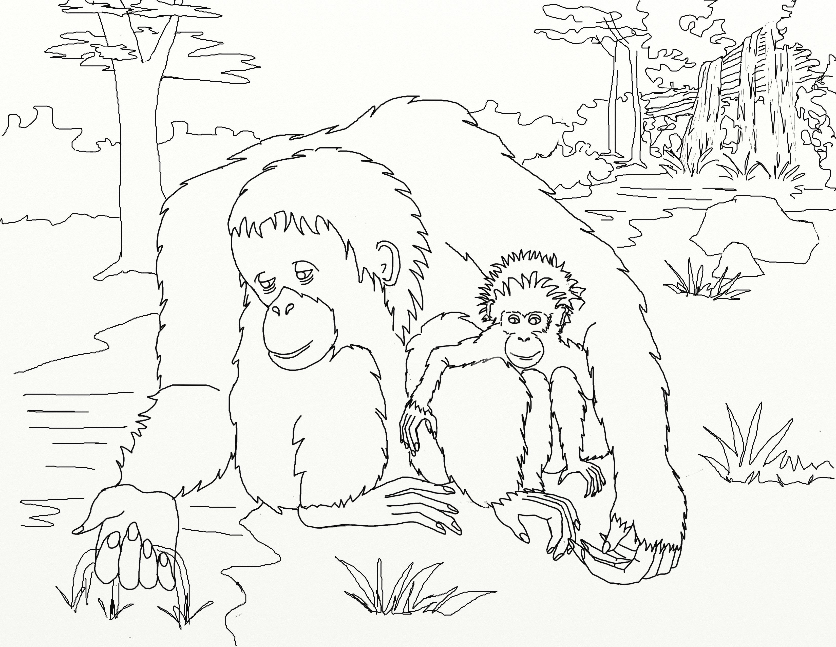 baby orangutan coloring page