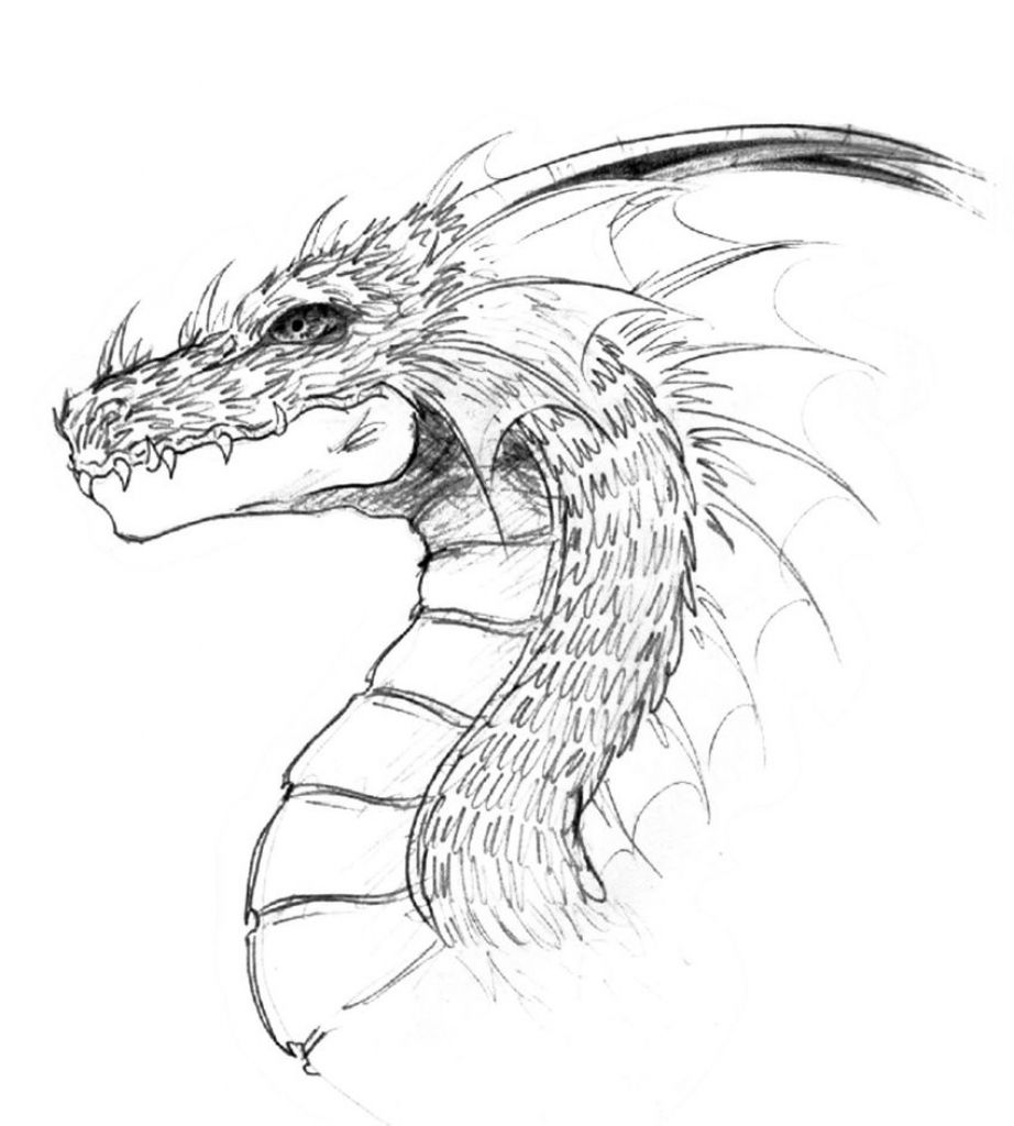 dragon head drawing - Clip Art Library