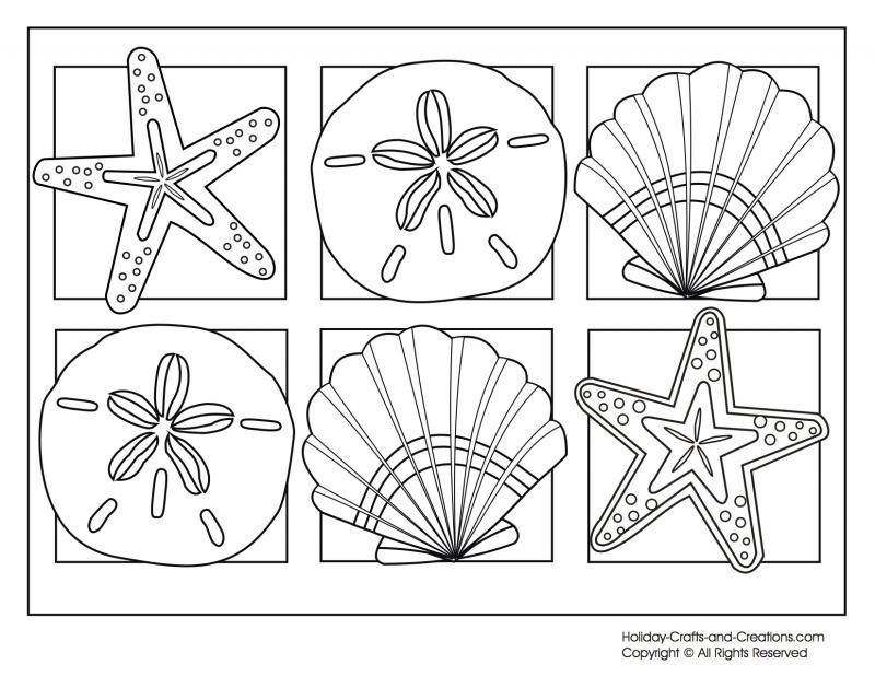 Seashell coloring pages to download and print for free