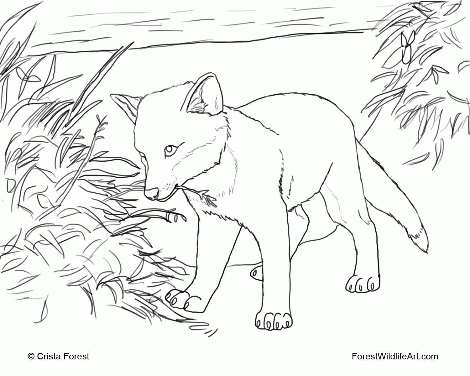 free-cute-baby-fox-coloring-pages-download-free-cute-baby-fox-coloring-pages-png-images-free
