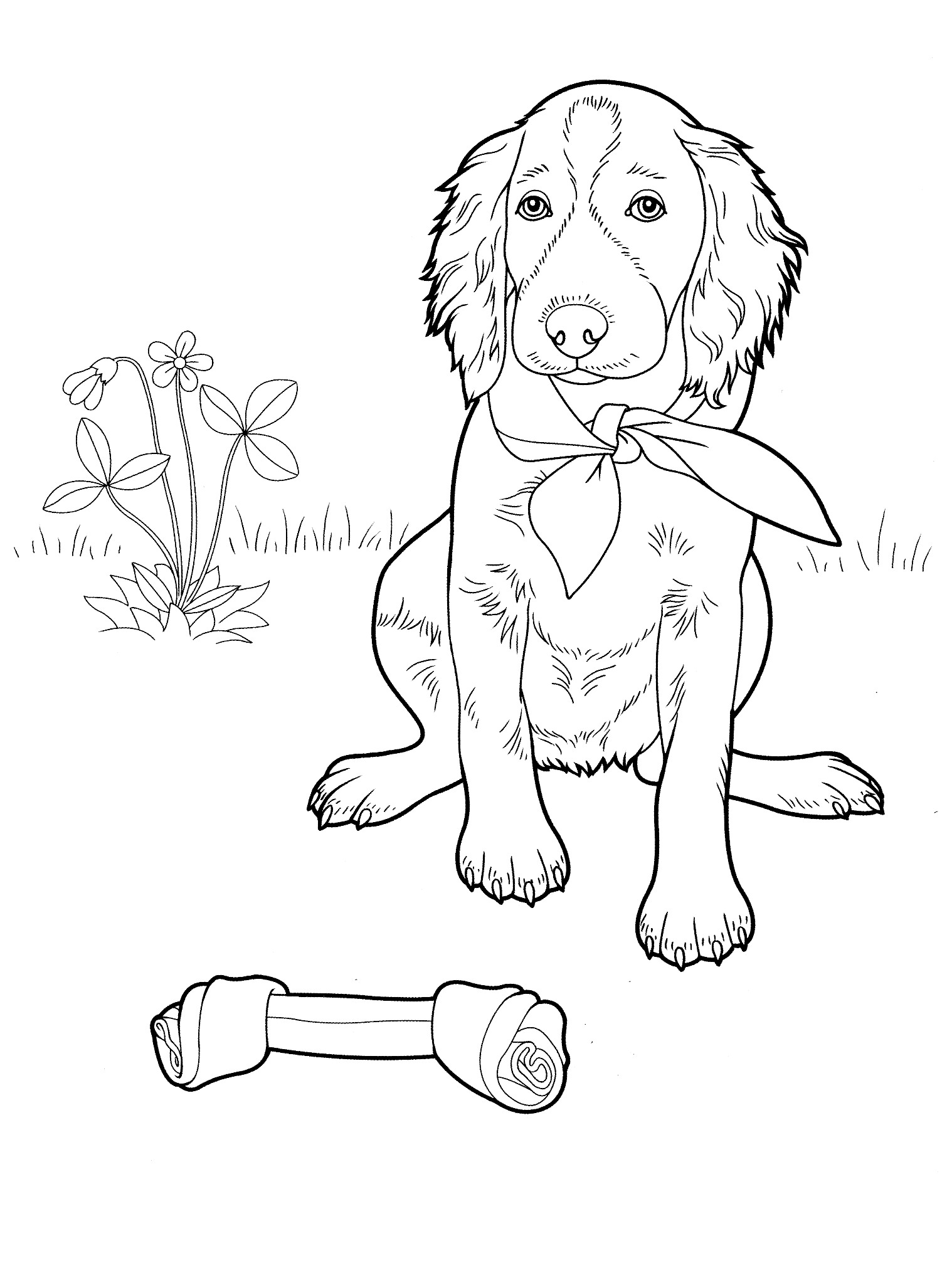Featured image of post Dog Coloring Pages For Adults Printable - Choose your favorite coloring page and color it in bright colors.