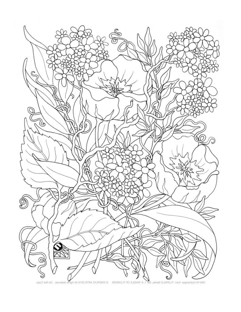 free-free-printable-coloring-pages-adults-only-download-free-free-printable-coloring-pages