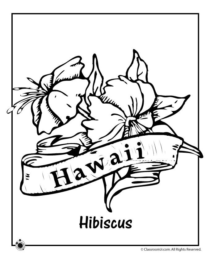 Hawaii State Flower Coloring Page 