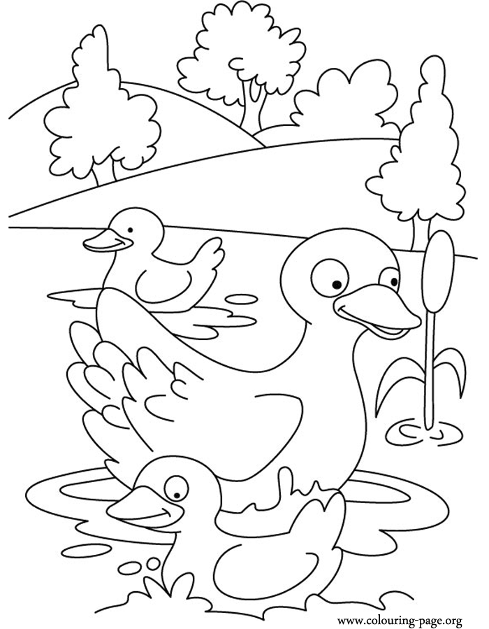 Duck and Duckling - Mother duck and her ducklings coloring page