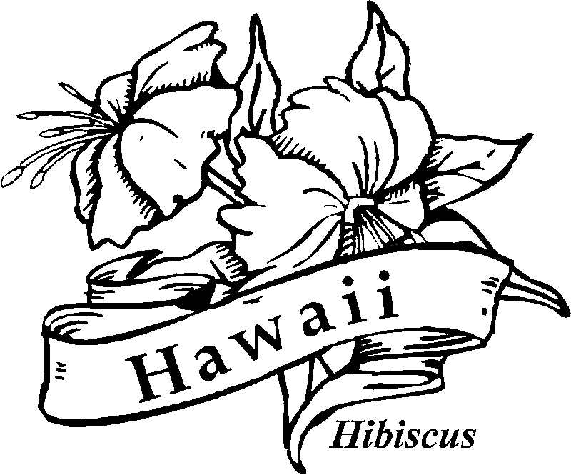 Hibiscus Coloring Pages | Free Printable Coloring Pages | Free
