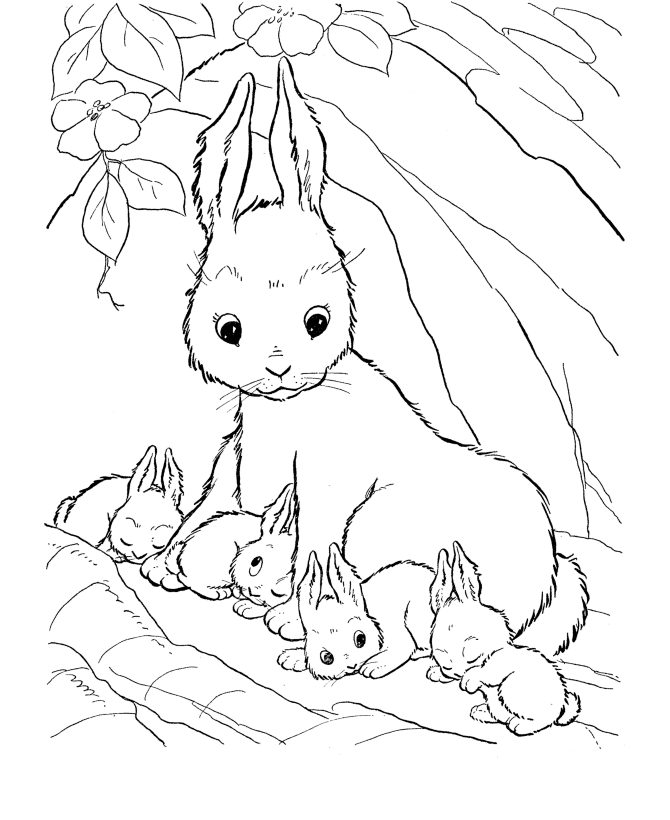 Farm Animal Coloring Pages | Printable Mother Rabbit Coloring Page
