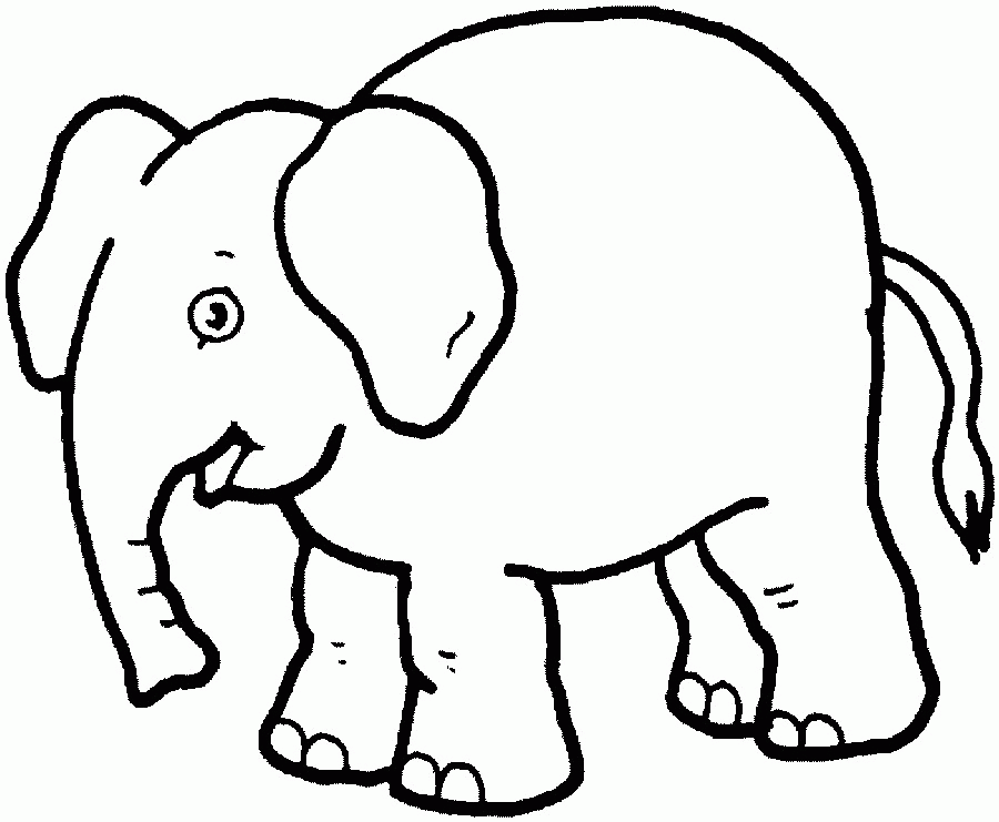 coloring pages of elephant