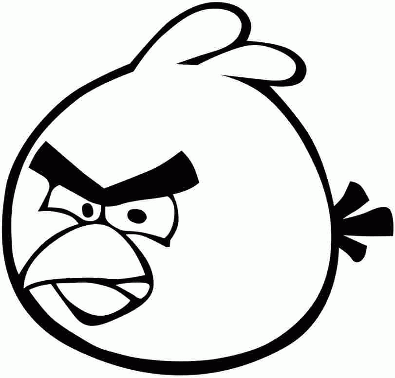Cartoon Angry Bird Coloring Pages Printable For Preschool