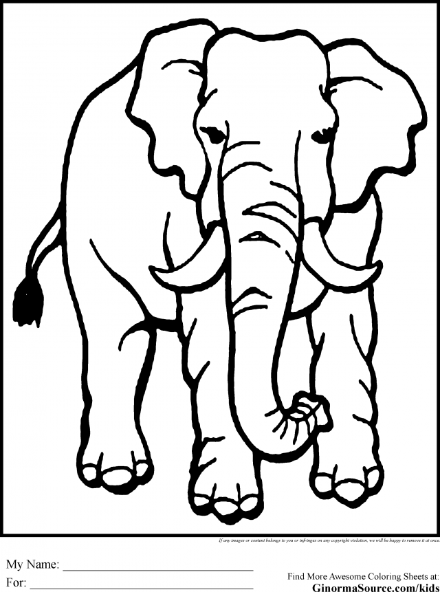 African Elephant Coloring Pages Coloring Book Area Best Source
