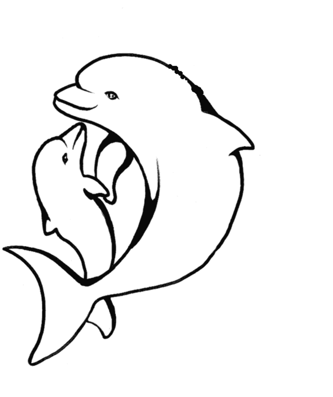 Coloring Pages Of A Dolphin | Free Printable Coloring Pages