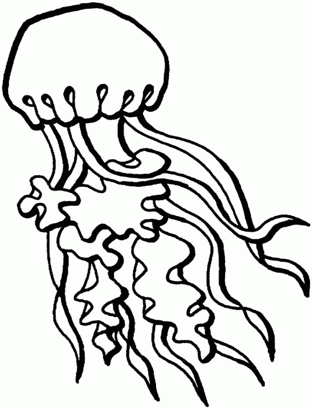 Jellyfish | Free Printable Coloring Pages