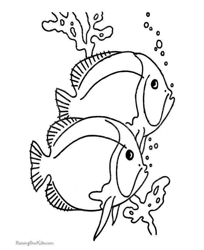 Fish coloring book Page