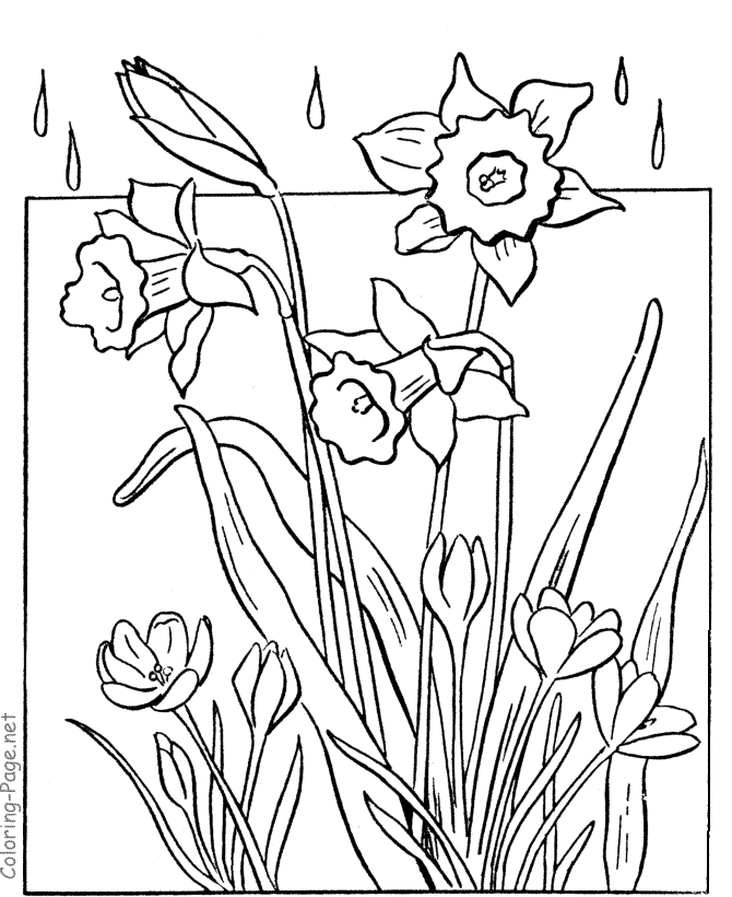 Spring Coloring Book Pages - Flowers in rain