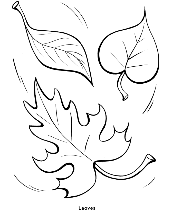 Printable Coloring Pages Leaves