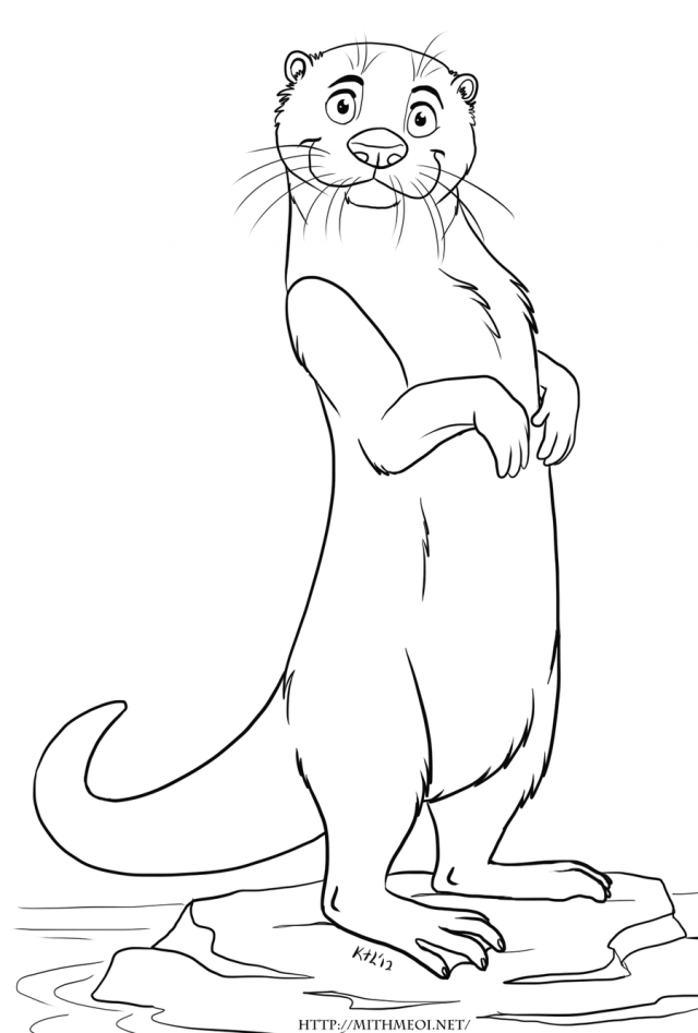 coloring pages of sea otter