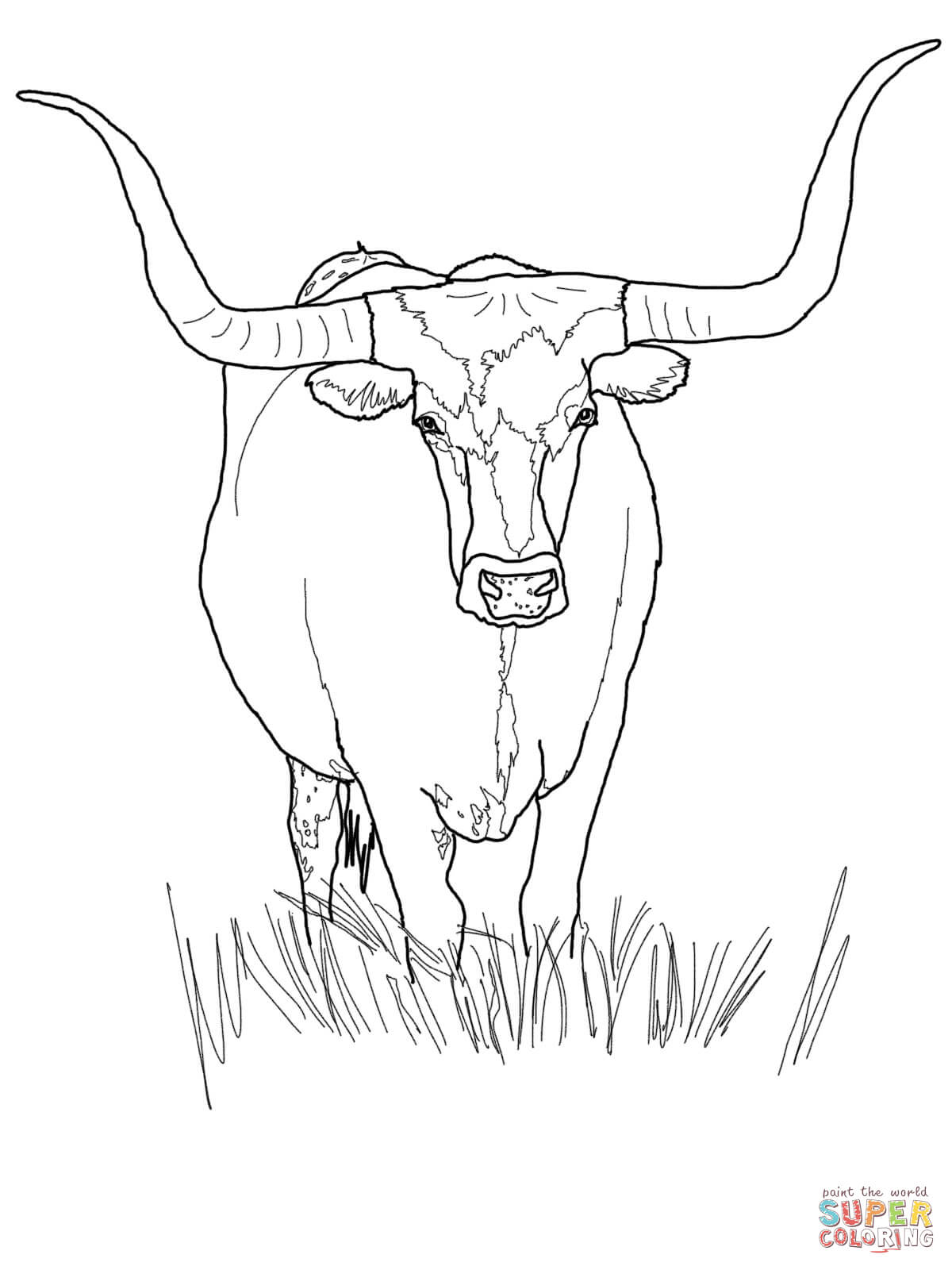 Featured image of post Bull Coloring Pages For Adults / You can create an amazing piece of art with our reptile coloring pages.