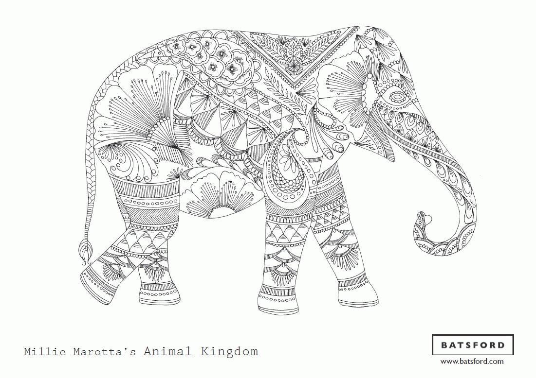 millie marotta animal kingdom coloring page   Clip Art Library
