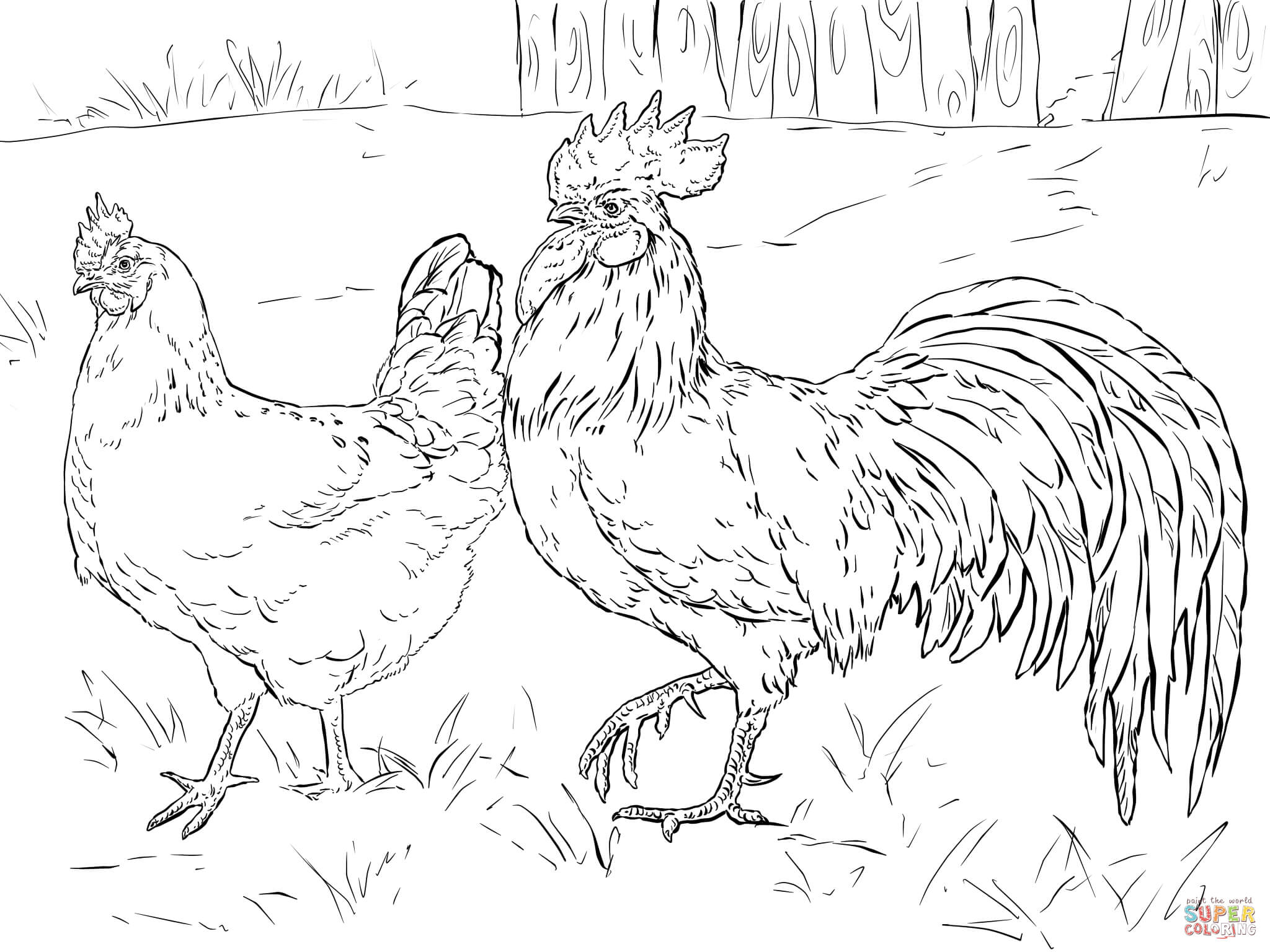 Rooster | Coloring Pages for Kids and for Adults