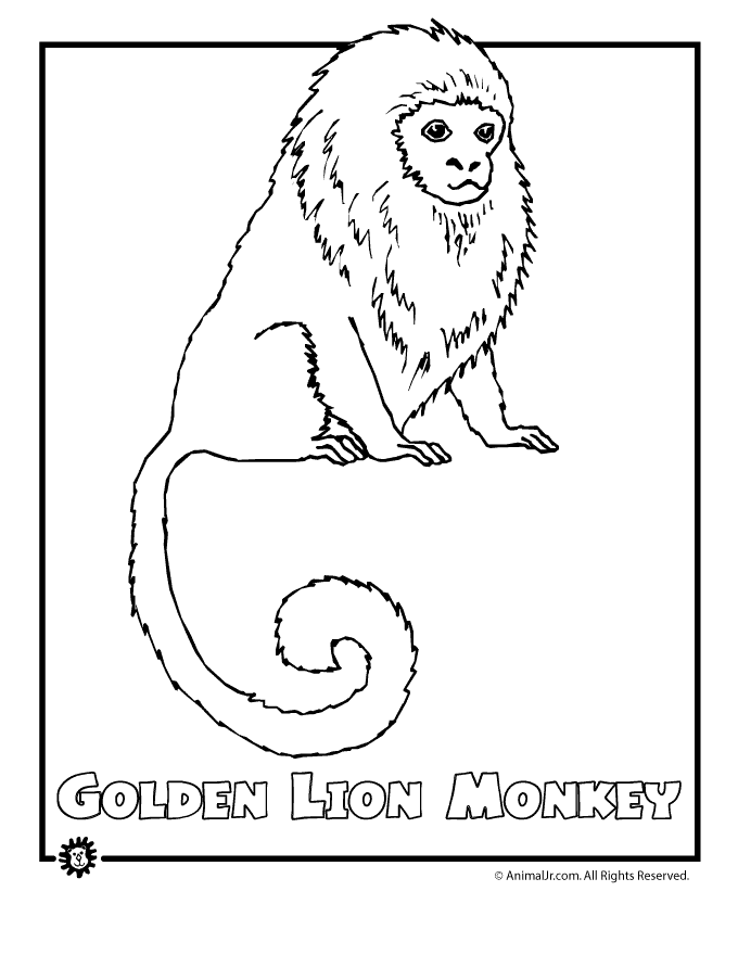 endangered-species-colouring-pages-clip-art-library