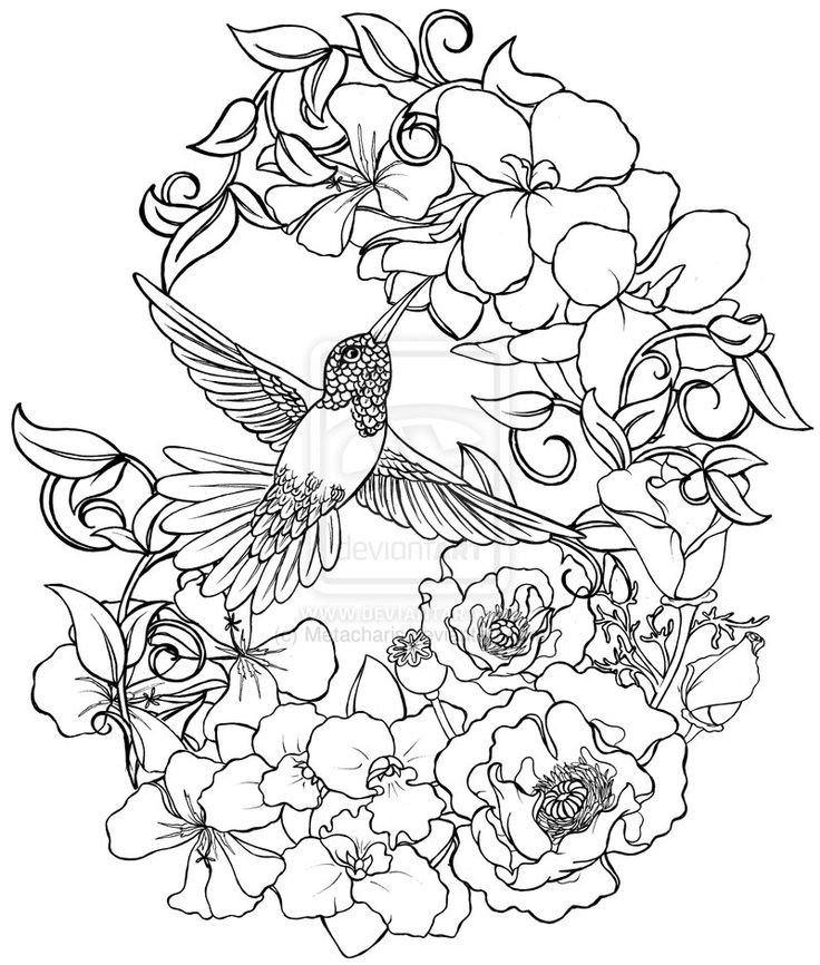 free-flower-coloring-pages-advanced-download-free-flower-coloring