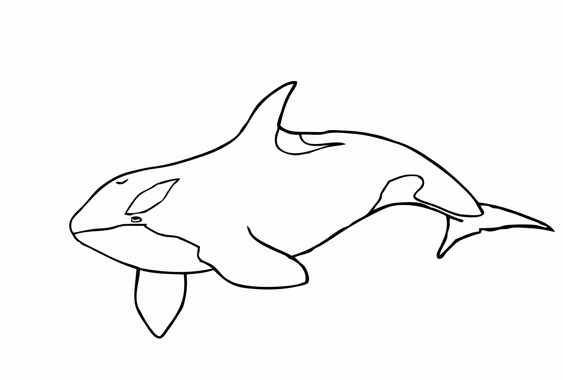 Free Orca Whale Coloring Page Download Free Orca Whale Coloring Page