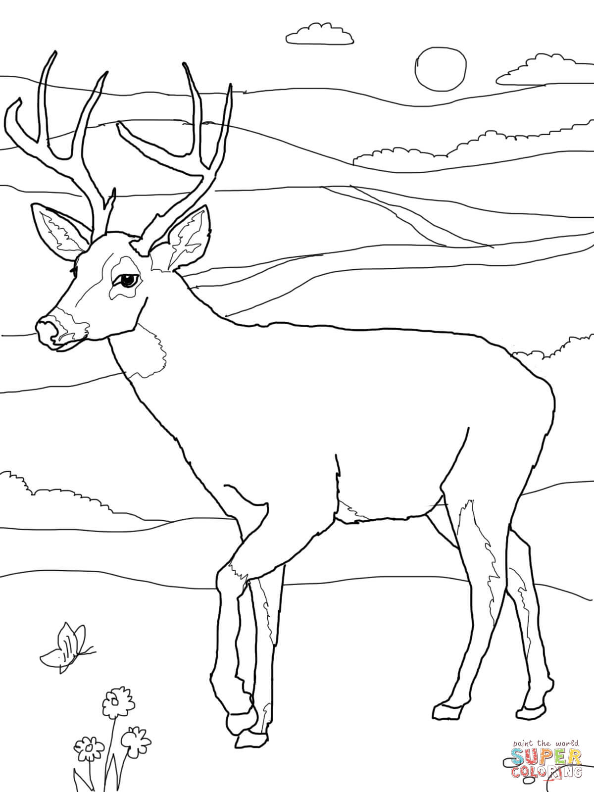 buck coloring pages