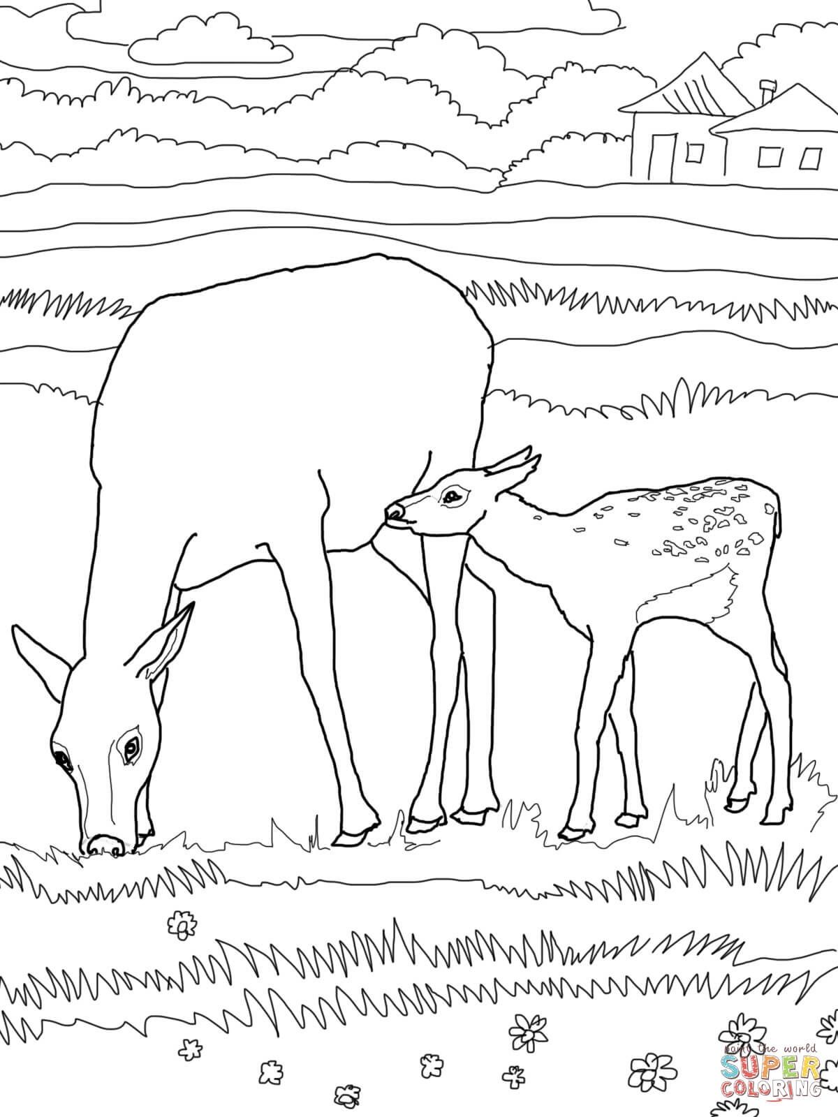 Featured image of post Bull Elk Elk Coloring Pages / 720x880 elk coloring page bull elk coloring pages deer and elk coloring.