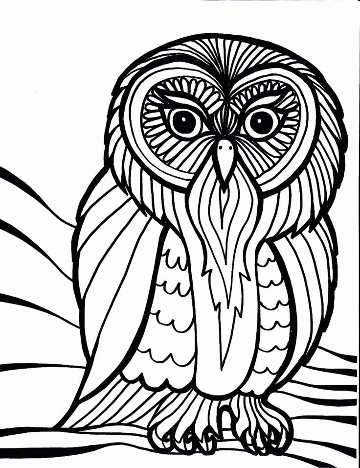 Owl 15 Coloring Page