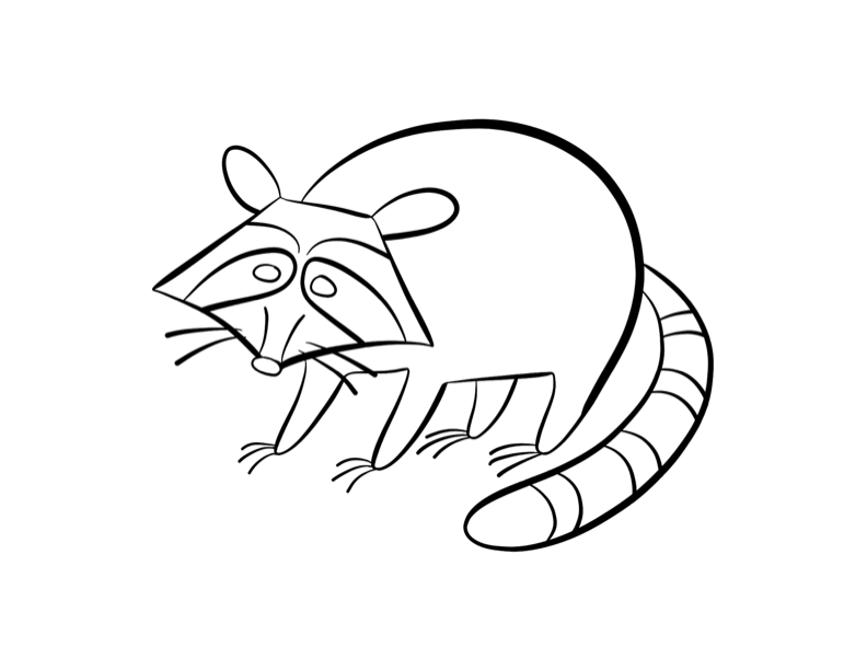 raccoon coloring page | Coloring Picture HD For Kids 