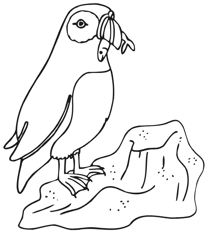 Rocks On Seafloor Coloring Pages