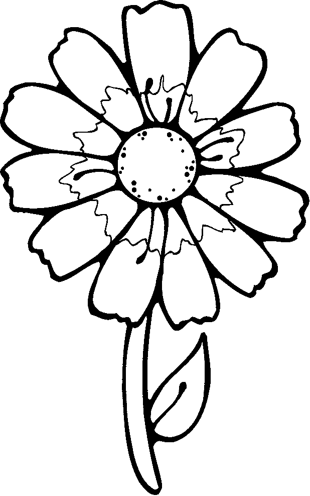 o flower Colouring Pages
