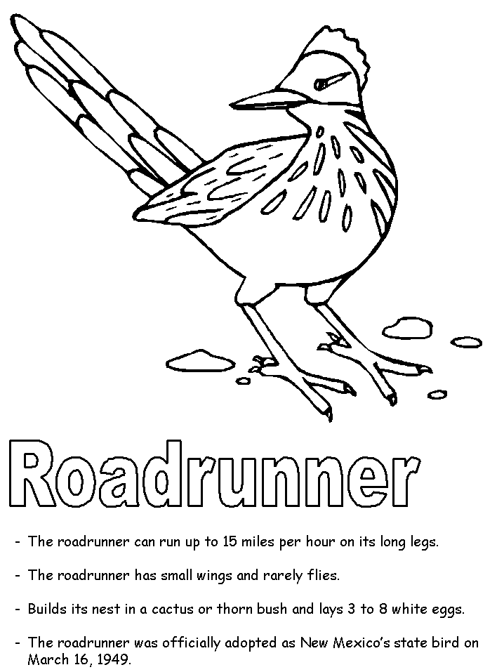 Roadrunner coloring page