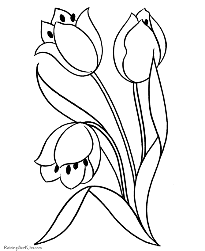 Flower Color Pages  Coloring picture animal and car also
