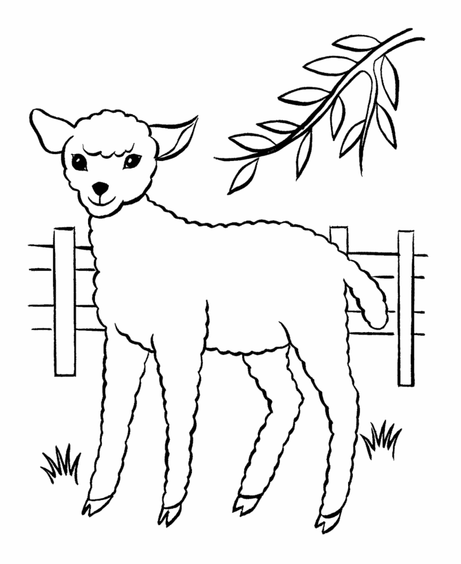 BlueBonkers: Free Printable Easter Lamb Coloring Page Sheets