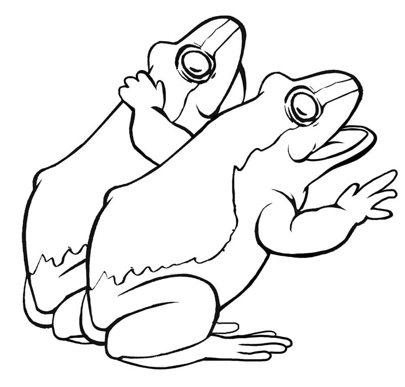 Two Frogs Singing Together Coloring Page - Free  Printable