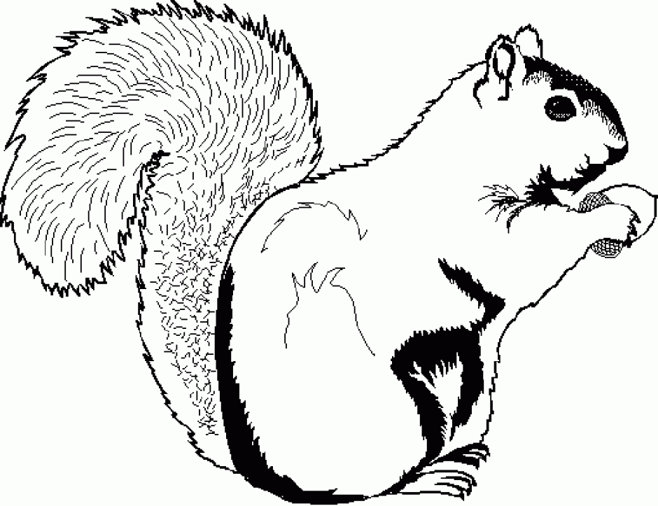 Cartoon Clipart Of An Outlined Cute Chipmunk Black And White