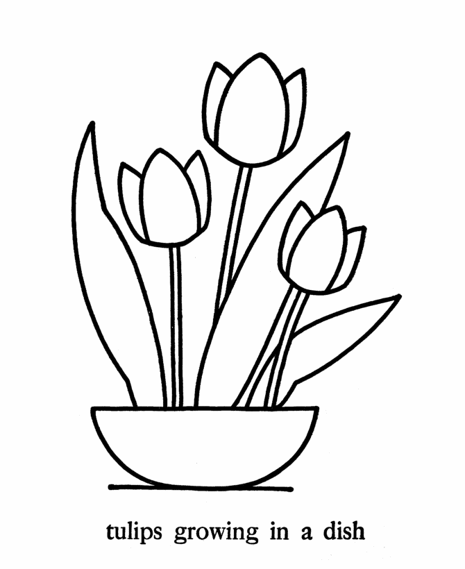 Simple Flower Coloring Page With Roots Tall Flower Coloring Page