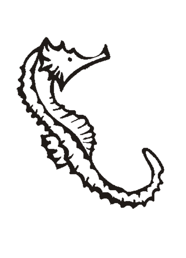 Seahorse-coloring-picture-12 | Free Coloring Page on Clipart Library
