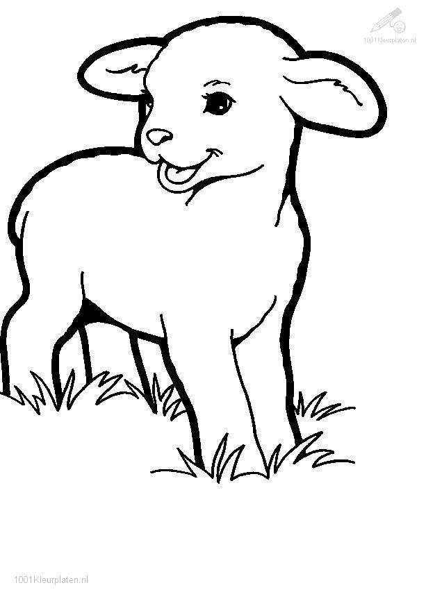 Coloring Pages Of Lambs | Free Printable Coloring Pages | Free