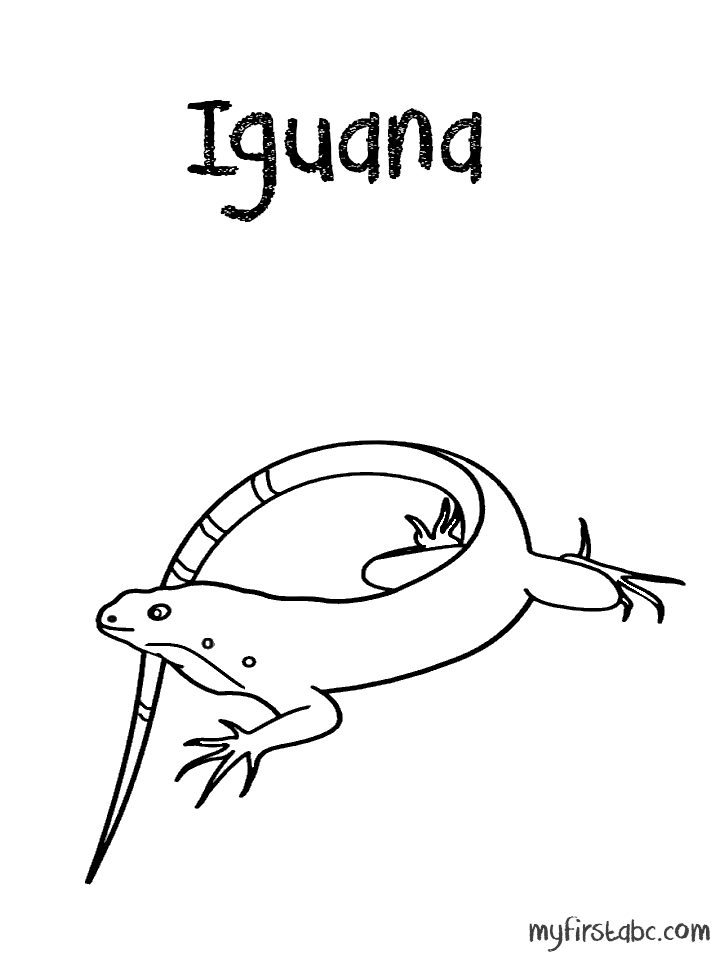 iguanas Colouring Pages