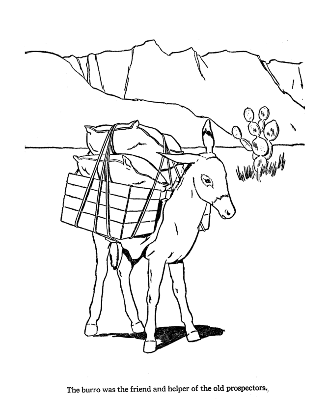 Farm Animal Coloring Pages | Printable Burro Coloring Page