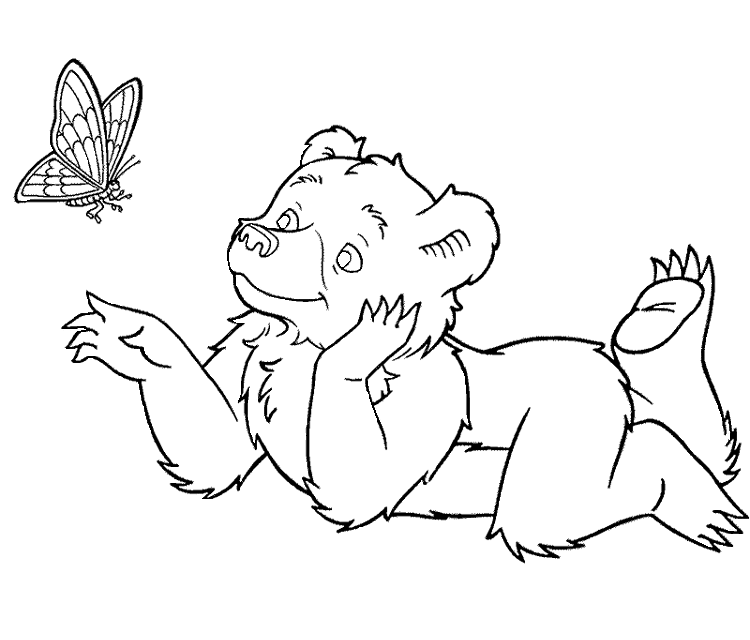 Little bear Colouring Pages